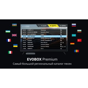Караоке система Evobox PREMIUM /65 000 песен/
